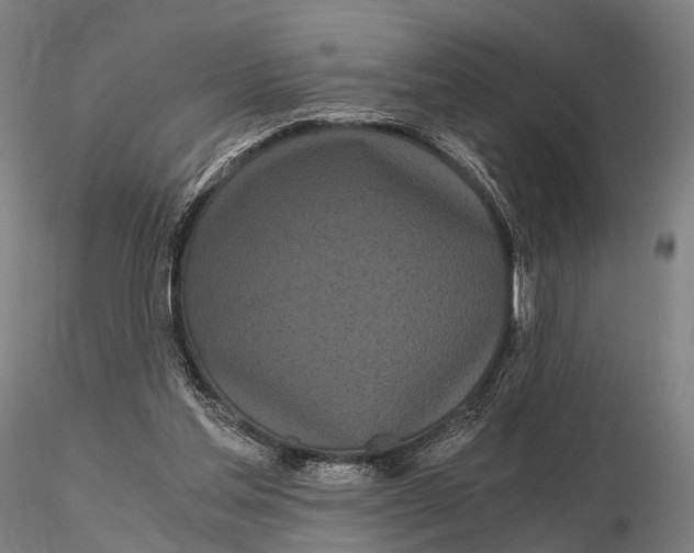 X0000115700205200912031513