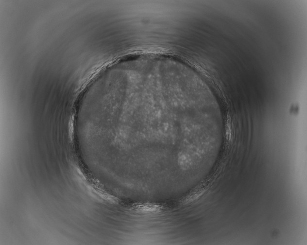 X0000115700206200912031513