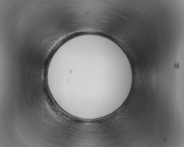 X0000115700208200912031513