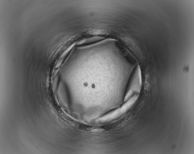 X0000115700210200912031513