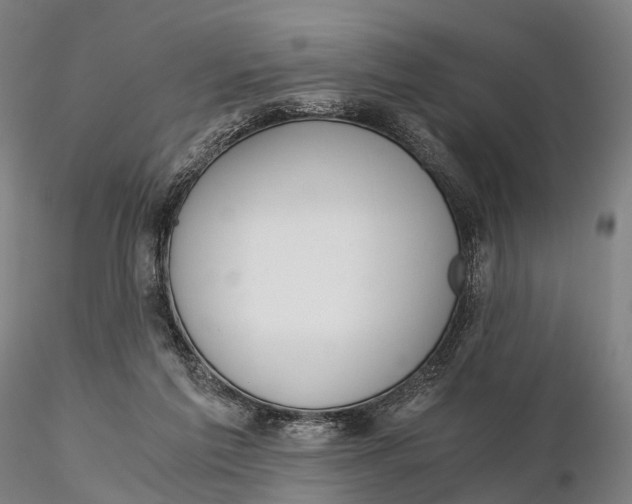 X0000115700213200912031513