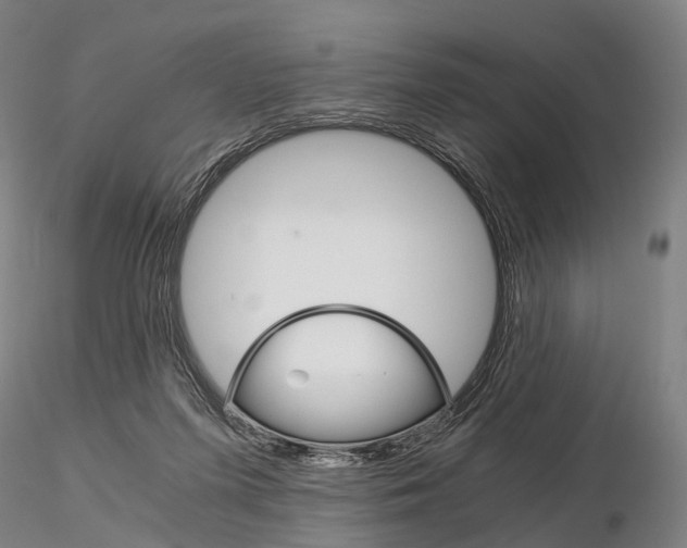 X0000115700215200912031513