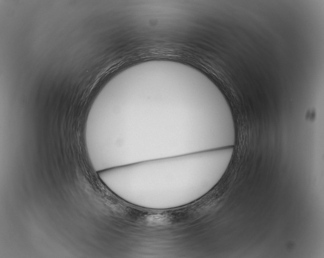 X0000115700216200912031513