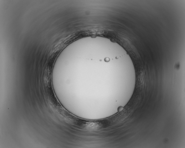 X0000115700218200912031513