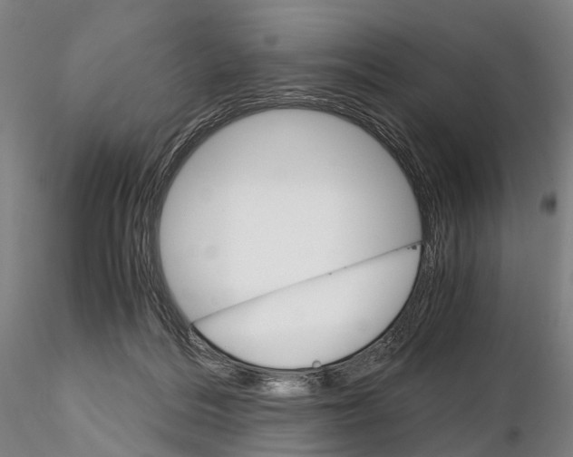 X0000115700220200912031513