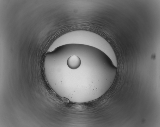 X0000115700221200912031513