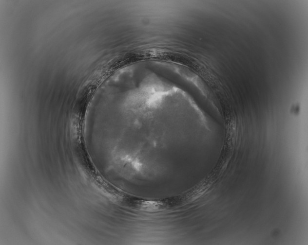 X0000115700222200912031513