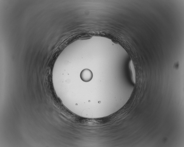 X0000115700229200912031513