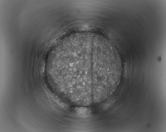 X0000115700230200912031513