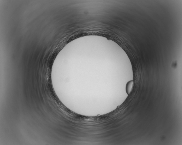 X0000115700232200912031512