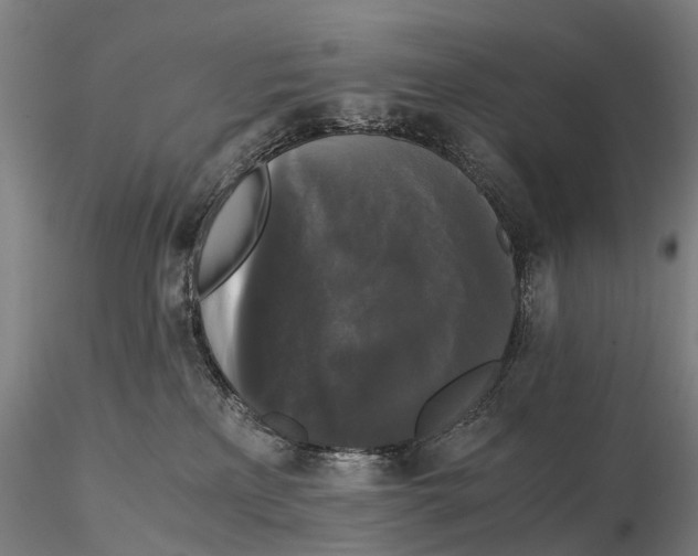 X0000115700233200912031512