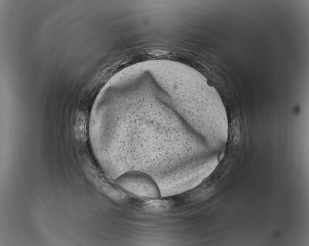 X0000115700234200912031512