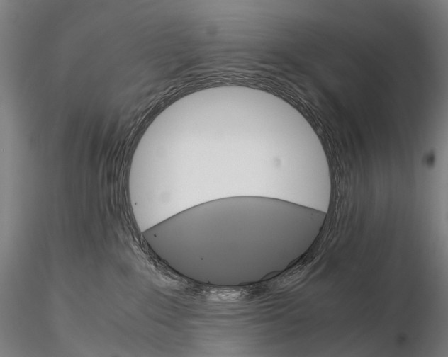 X0000115700235200912031512