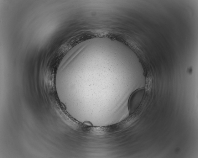 X0000115700238200912031512