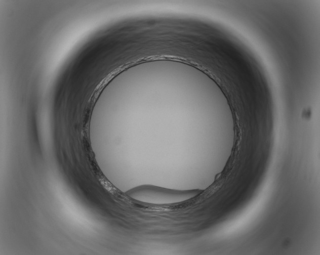 X0000115700239200912031512