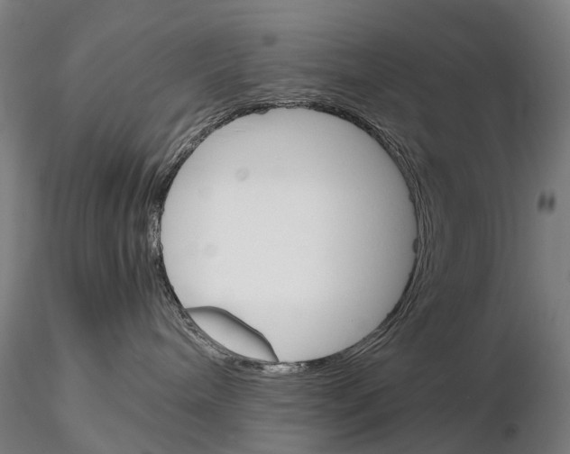 X0000115700240200912031512