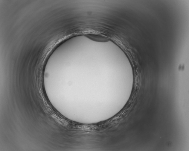 X0000115700241200912031512