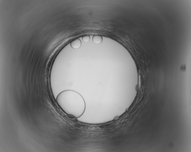 X0000115700243200912031512