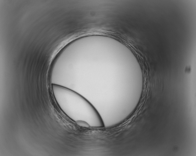 X0000115700244200912031512