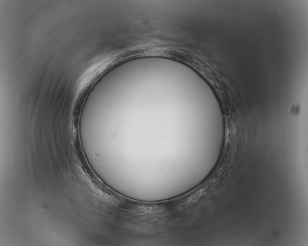 X0000115700245200912031512