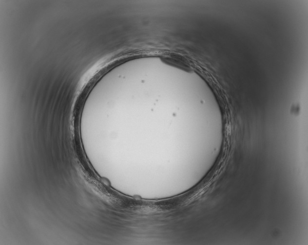 X0000115700246200912031512