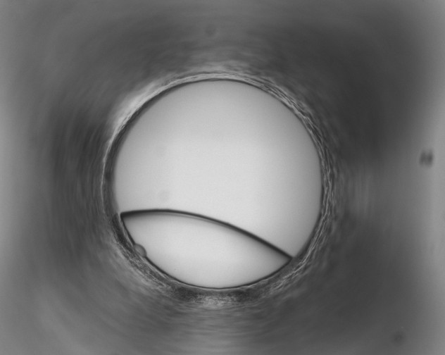 X0000115700248200912031512