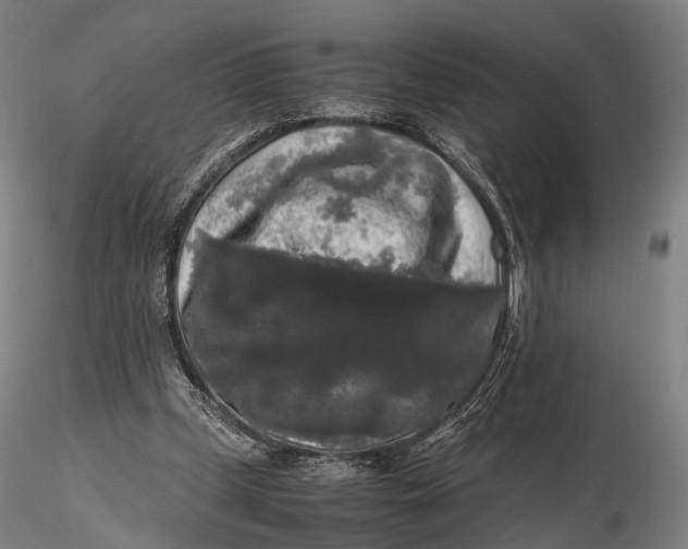 X0000115700249200912031512