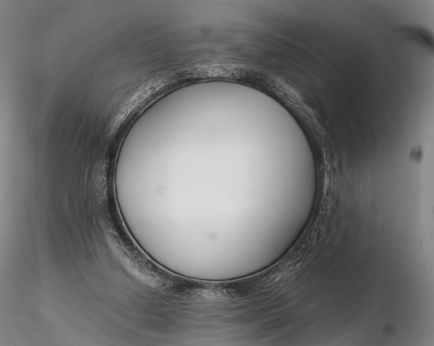 X0000115700250200912031512