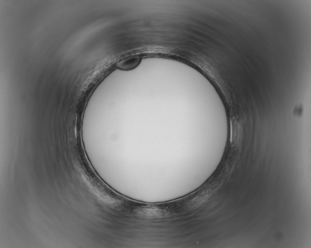 X0000115700253200912031512