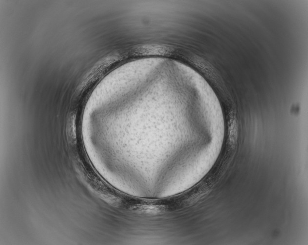 X0000115700254200912031512