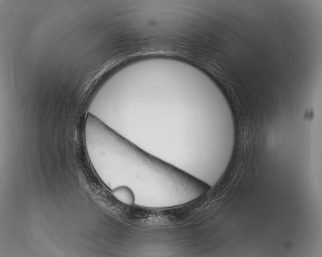 X0000115700256200912031512