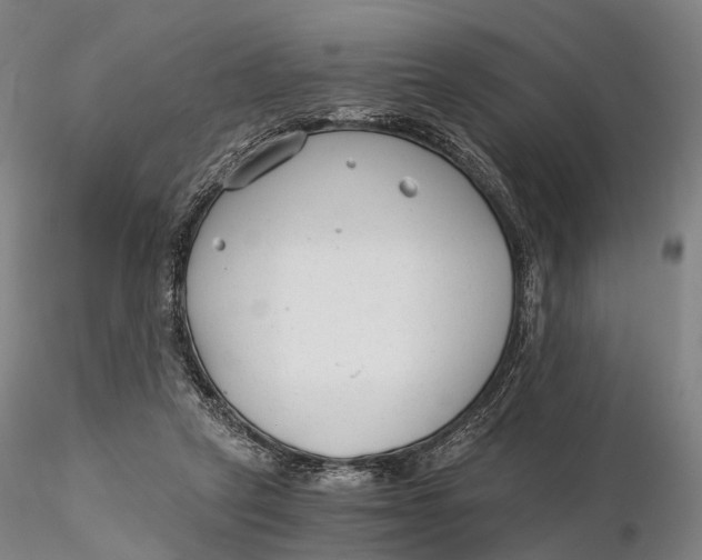 X0000115700257200912031512