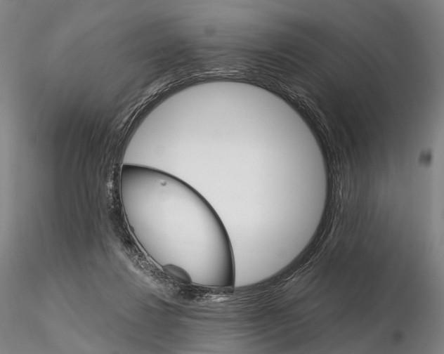 X0000115700260200912031512