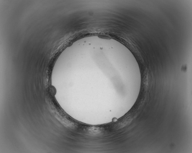 X0000115700261200912031512