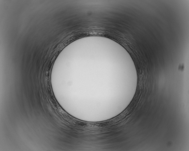 X0000115700263200912031512