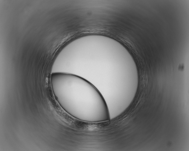 X0000115700264200912031512