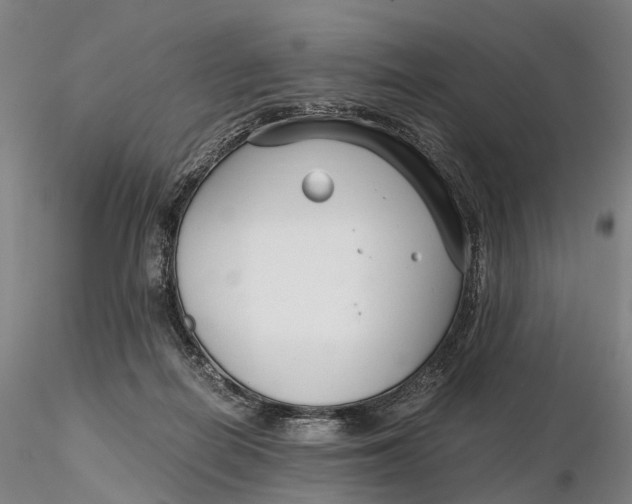 X0000115700266200912031512