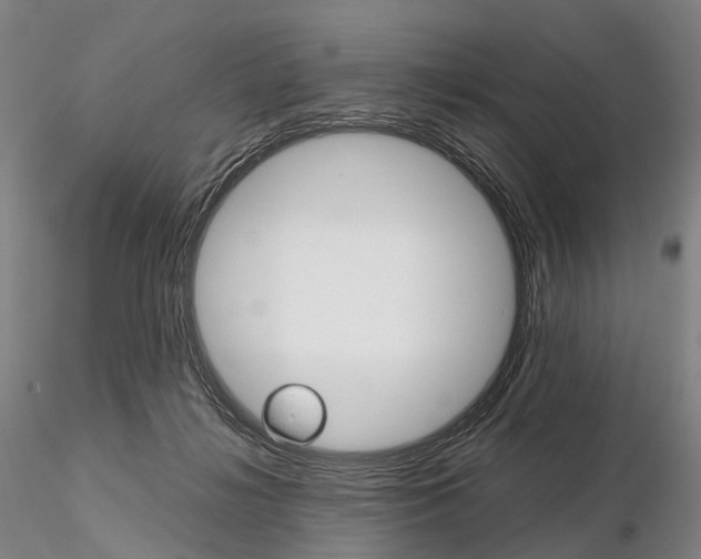 X0000115700268200912031512