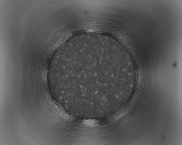 X0000115700269200912031512