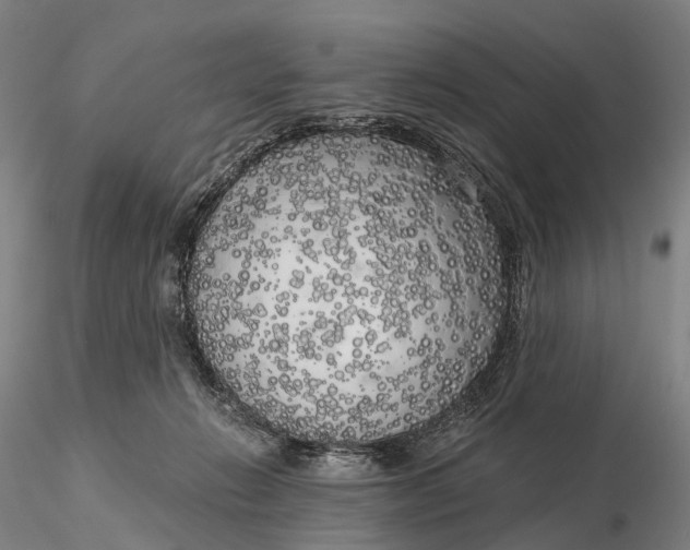 X0000115700270200912031512