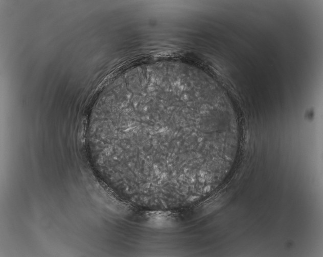 X0000115700273200912031512