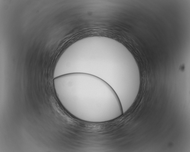 X0000115700276200912031512