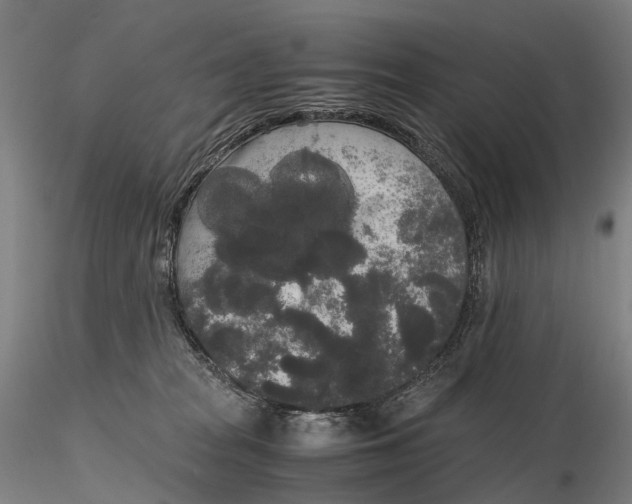 X0000115700277200912031512