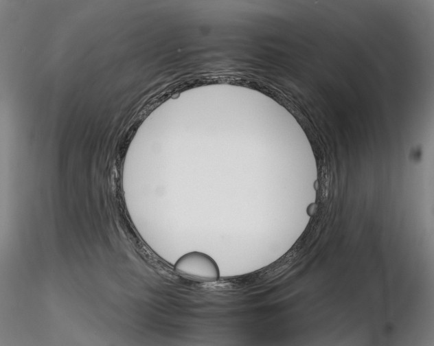 X0000115700279200912031512