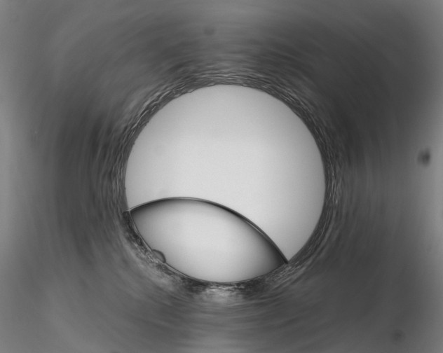 X0000115700280200912031512