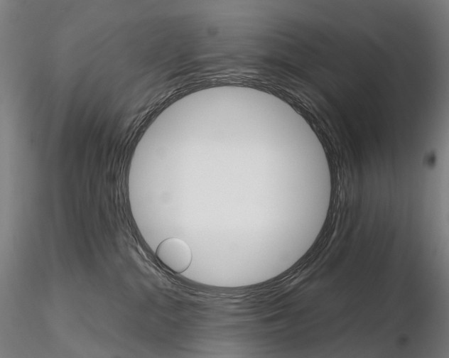 X0000115700284200912031512