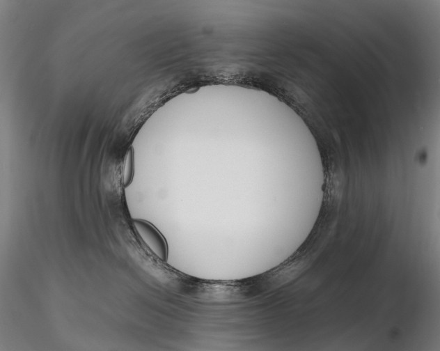 X0000115700286200912031512