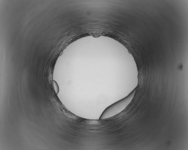 X0000115700287200912031512