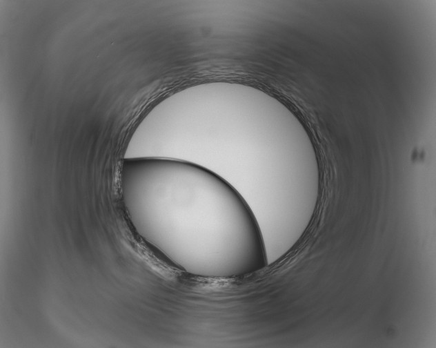 X0000115700288200912031512