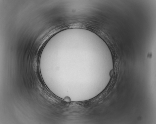 X0000115700290200912031512